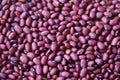 Full frame of kidney beans, red beans, selective focus Royalty Free Stock Photo