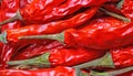 Full frame macro closeup of isolated shiny red spicy raw slightly wizened chili peppers in drying process with green pedicle