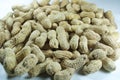 Full Frame Macro of Raw Whole Peanuts in Shells Royalty Free Stock Photo