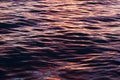 Full Frame Ocean Surface Reflecting Pink Purple Blue and Orange Sunset Royalty Free Stock Photo