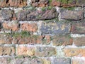 Full frame old red brick wall with moss Royalty Free Stock Photo