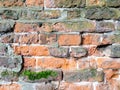 Full frame old red brick wall with moss Royalty Free Stock Photo