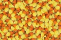 Full frame pattern of a orange and yellow butterfly with spread wings Royalty Free Stock Photo