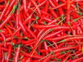 Full frame photo of fresh chilies pepper for sale in the market