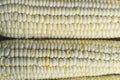 Full frame photo of fresh, organic corn crob Royalty Free Stock Photo