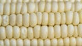 Full frame photo of fresh, organic corn crob Royalty Free Stock Photo