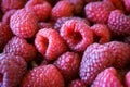 Full frame of raspberries. Pink raspberries. Macro. Close up Royalty Free Stock Photo