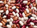 Full Frame Shot Of Anasazi Mixed Beans Royalty Free Stock Photo