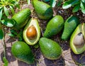 Full frame shot of avocados Royalty Free Stock Photo