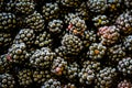 Full frame shot of the blackberries