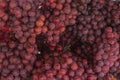 Full frame shot of a bunch of fresh red grapes Royalty Free Stock Photo