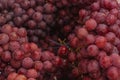 Full frame shot of a bunch of fresh red grapes Royalty Free Stock Photo