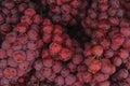 Full frame shot of a bunch of fresh red grapes Royalty Free Stock Photo