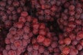 Full frame shot of a bunch of fresh red grapes Royalty Free Stock Photo