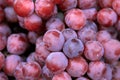 Full frame shot of a bunch of red grapes. Royalty Free Stock Photo