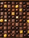 Assorted Chocolate Collection Royalty Free Stock Photo