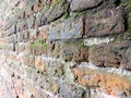 Full frame old red brick wall with moss Royalty Free Stock Photo
