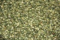 Full frame shot of dried green peas (Pisum sativum).
