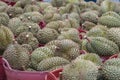 Durain the king of fruits in thailand market.