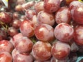 Full frame shot of Fresh red grapes in Thailand Royalty Free Stock Photo