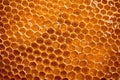 full frame shot of a giant dense honeycomb