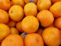 shot of oranges for sale at market Royalty Free Stock Photo