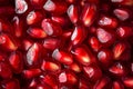 Full frame shot of pomegranate seeds. Abstract photo of a close-up of neatly arranged pomegranate seeds. Background texture of a