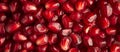 Full frame shot of pomegranate seeds. Abstract photo of a close-up of neatly arranged pomegranate seeds. Background texture of a