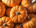 Full frame shot of pumpkin Royalty Free Stock Photo