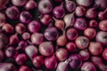 Full frame shot of purple onions, fresh produce background
