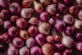 Full frame shot of purple onions, fresh produce background