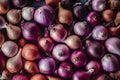 Full frame shot of purple onions, fresh produce background