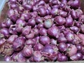 Full Frame Shot Of Purple Onions. Fresh whole purple onions. Royalty Free Stock Photo