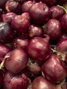 Full frame shot of purple onions Royalty Free Stock Photo