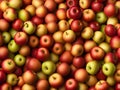 Full frame shot of red apples. Fresh red apples from the market Royalty Free Stock Photo