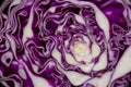 Full frame shot of cabbage Royalty Free Stock Photo