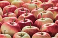 Full frame shot of red yellow apples Royalty Free Stock Photo