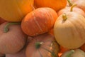 Full frame shot of a stack of ripe pumpkin varieties in yellow and orange tones Royalty Free Stock Photo