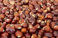 Full frame shot of Sweet hestnuts for background Royalty Free Stock Photo