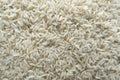 Full frame shot of white cooked rice Royalty Free Stock Photo