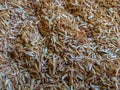 full frame shots of rice husk waste Royalty Free Stock Photo