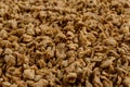 Full frame of soy protein. Royalty Free Stock Photo