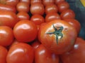 Full frame tomato pattern texture background Royalty Free Stock Photo