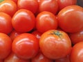 Full frame tomato pattern texture background Royalty Free Stock Photo