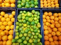 Vibrant Background of Piles of Fresh Orange Fruits in Trays