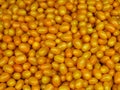 Yellow miniature plum tomatoes, Borough Market, London, UK Royalty Free Stock Photo