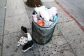 Full garbage can on Sunset Boulevard, Hollywood Royalty Free Stock Photo