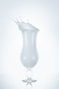 full glass of fresh milk with splash, on white Royalty Free Stock Photo