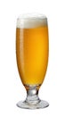 Full glass of hazy New England IPA NEIPA pale ale beer isolated on white background Clipping path