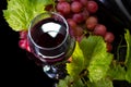 Full glass of red wine. Royalty Free Stock Photo